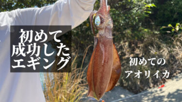 【エギングに成功！】旅行先の広島県尾道市で初めてアオリイカが釣れた話