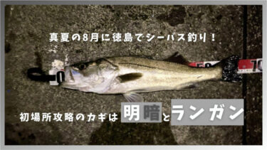 【真夏の8月に徳島でのシーバス釣り！】初場所での釣りは明暗の攻略とランガンするべし！