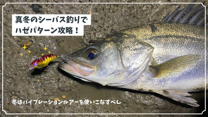 真冬のシーバス釣りでハゼパターン攻略！