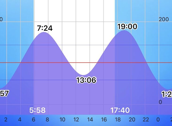 2024年10月5日土曜日の徳島県のタイドグラフ