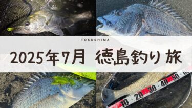 2025年7月！徳島に釣り旅へ！アマゾンペンシルでチヌが釣れた！