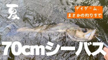 【夏のデイゲームで70cmのシーバス!】エンパシー90で釣れました!
